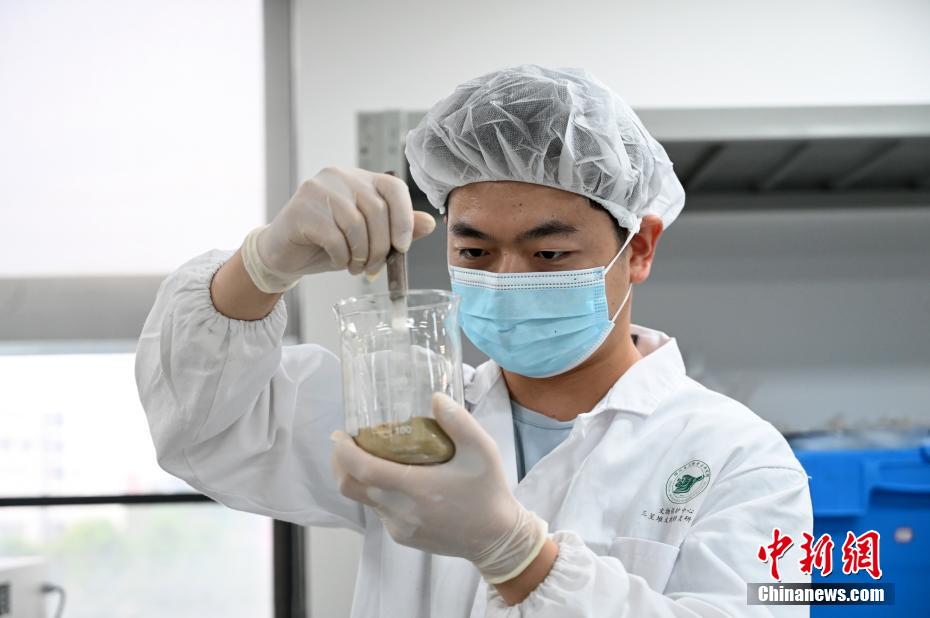 三星堆遺跡の文化財保護修理現(xiàn)場を訪ねて　四川省