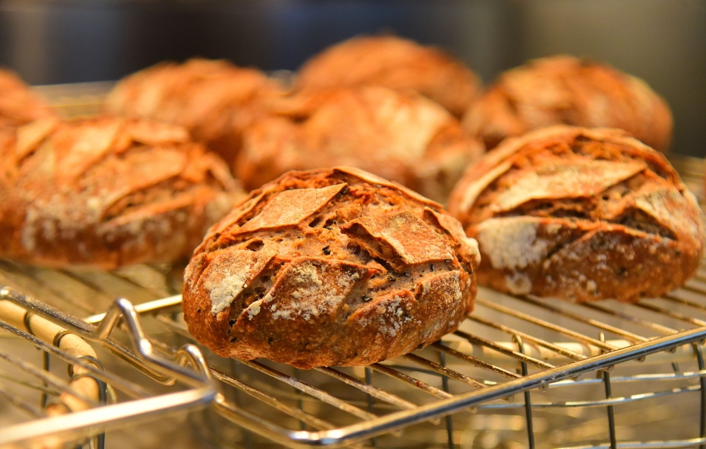 中醫(yī)薬パン（畫(huà)像著作権は東方ICが所有のため転載禁止）