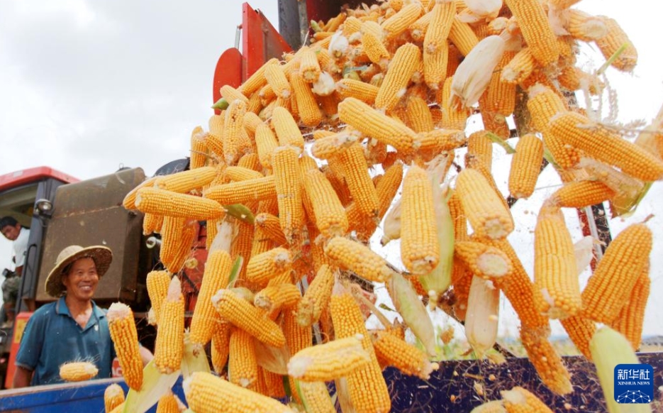 彩り豊かな中國(guó)各地の実りの秋