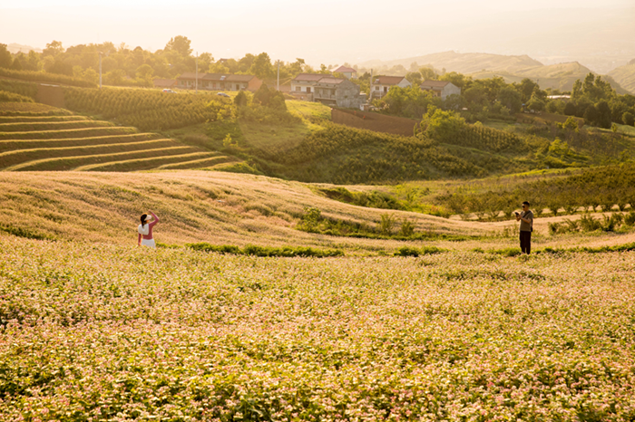 そばの花畑で寫(xiě)真を撮る観光客。（資料寫(xiě)真。寫(xiě)真提供は取材対象者）