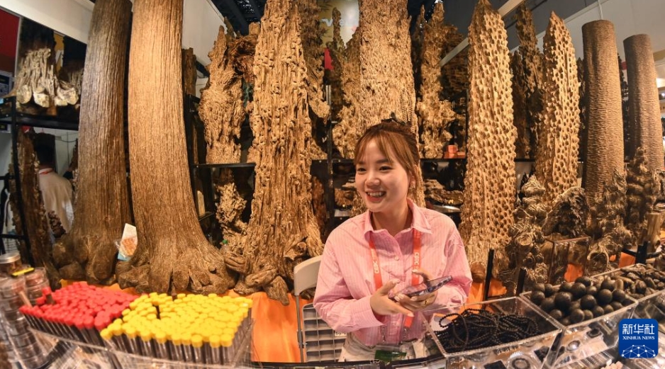 第21回中國?ASEAN博覧會が開幕　広西