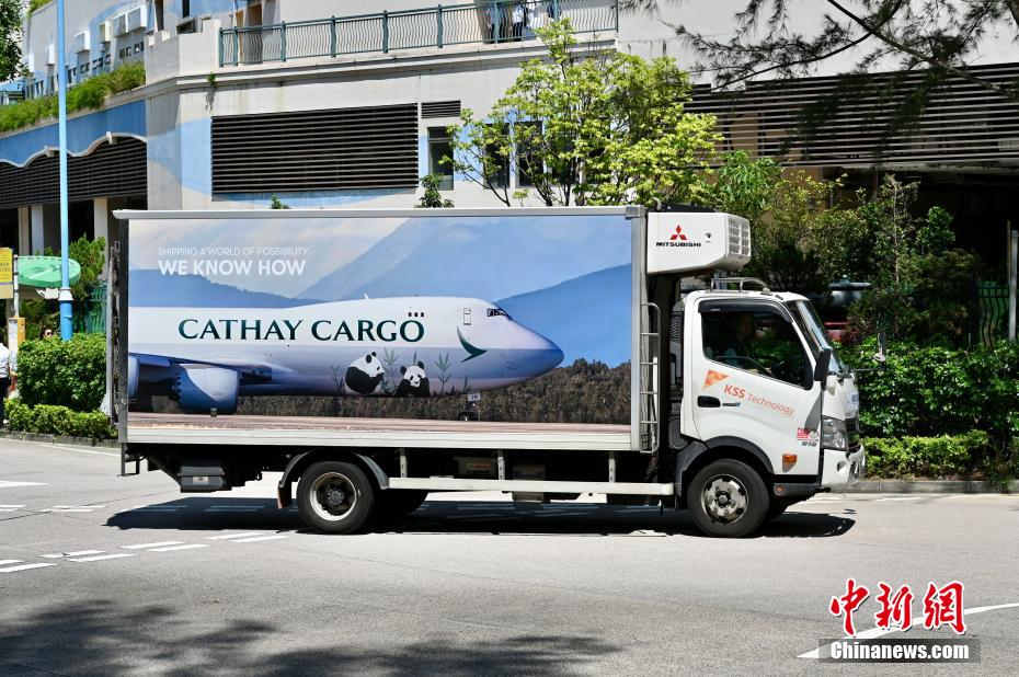 中央政府から贈られた3ペア目となるパンダが香港海洋公園に到著