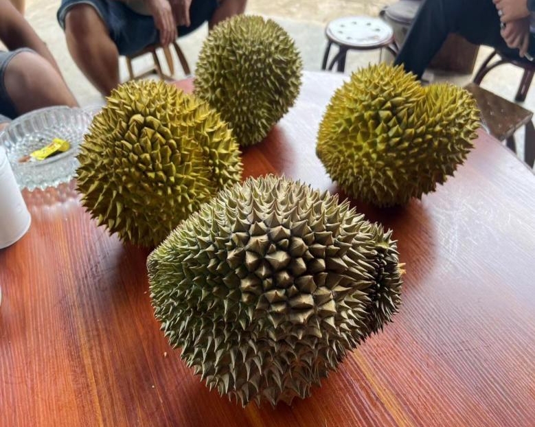 収穫したドリアン（寫(xiě)真提供?嘎棟街道弁事処）。
