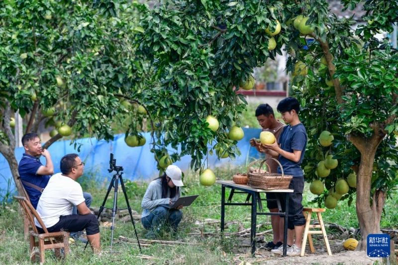 生まれ故郷でショート動畫を撮影して農(nóng)村振興をバックアップする貴州省の若者