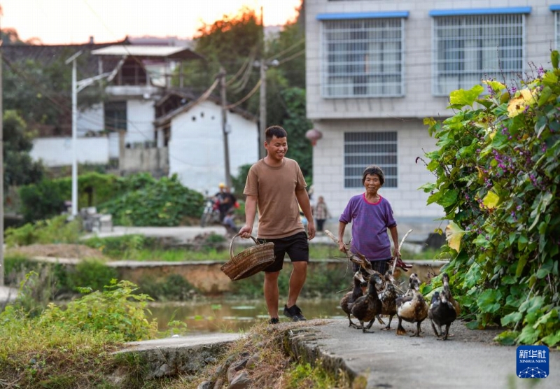 生まれ故郷でショート動(dòng)畫を撮影して農(nóng)村振興をバックアップする貴州省の若者
