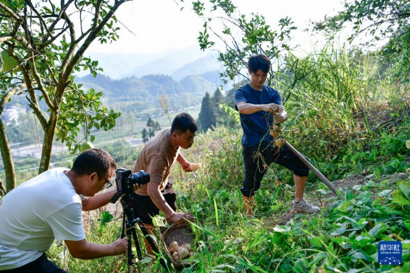 生まれ故郷でショート動(dòng)畫(huà)を撮影して農(nóng)村振興をバックアップする貴州省の若者