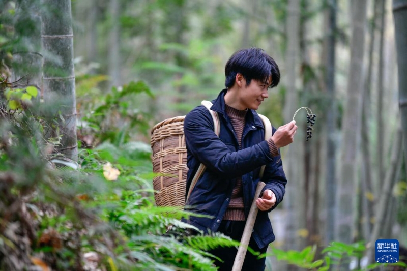 生まれ故郷でショート動畫を撮影して農(nóng)村振興をバックアップする貴州省の若者