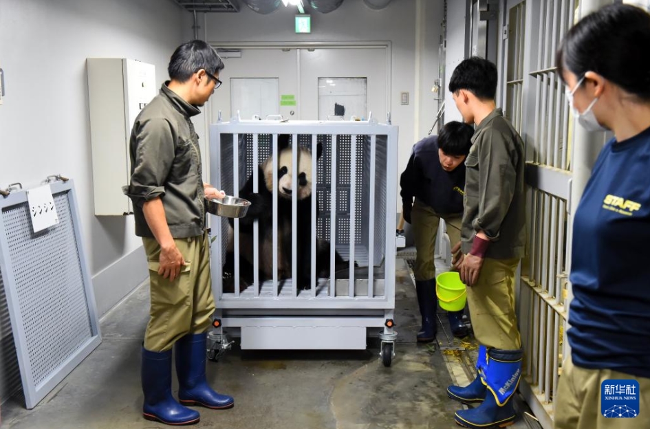 上野動(dòng)物園のパンダ「比力」と「仙女」が中國(guó)に帰國(guó)