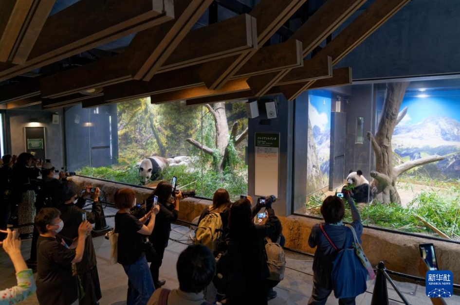 上野動(dòng)物園のパンダ「比力」と「仙女」が中國(guó)に帰國(guó)