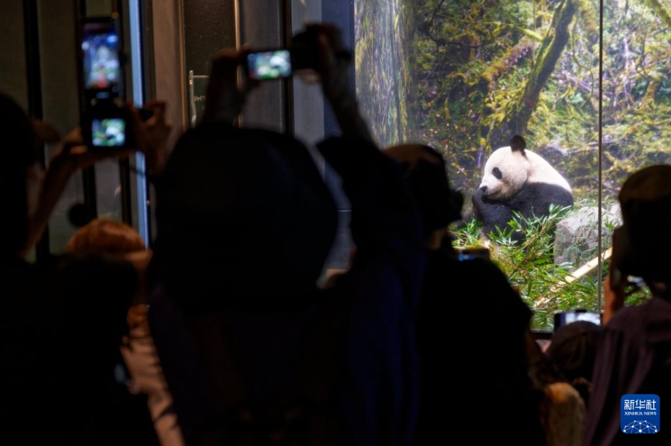 上野動物園のパンダ「比力」と「仙女」が中國に帰國