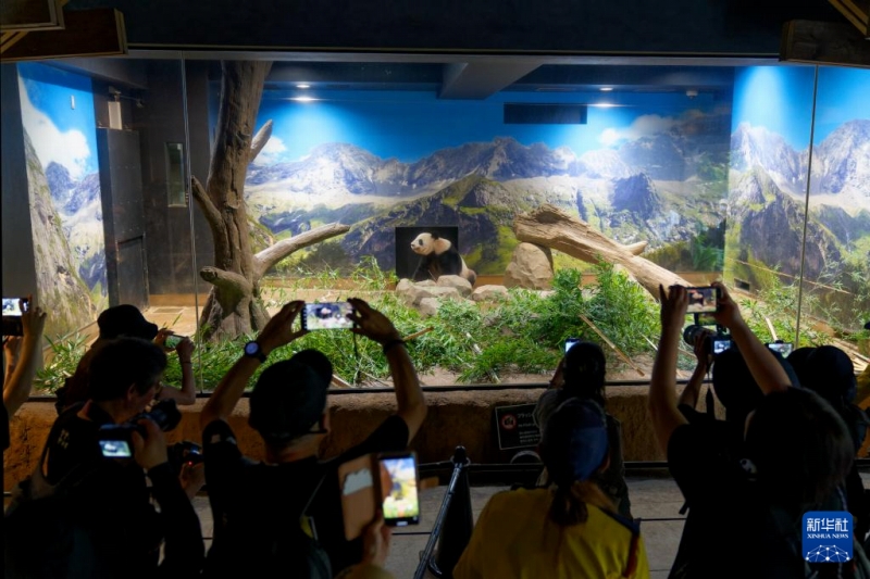 9月28日、東京上野動(dòng)物園で「仙女」を撮影し、別れを惜しむファンたち（撮影?張笑宇）。