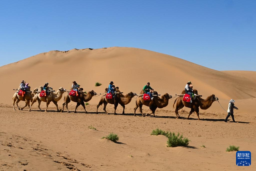 多彩なイベントで建國記念日をお祝い