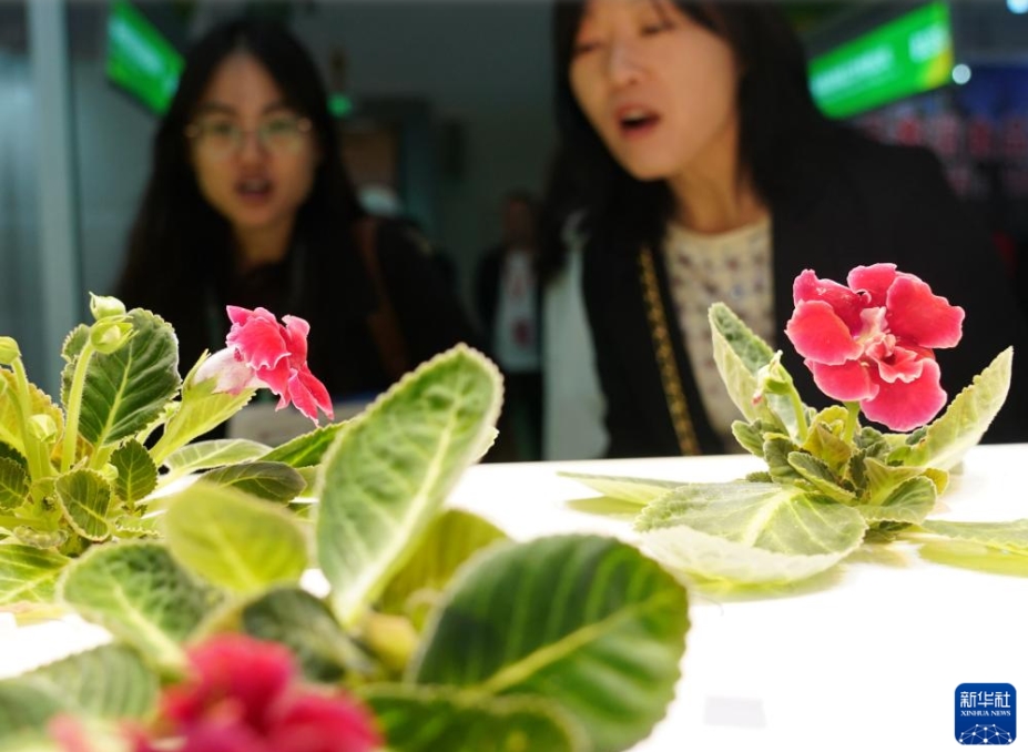 2024世界農(nóng)業(yè)科學(xué)技術(shù)イノベーションカンファレンスが北京で開催