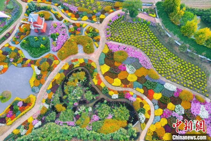 美しく咲き亂れる秋の花々　湖北省枝江