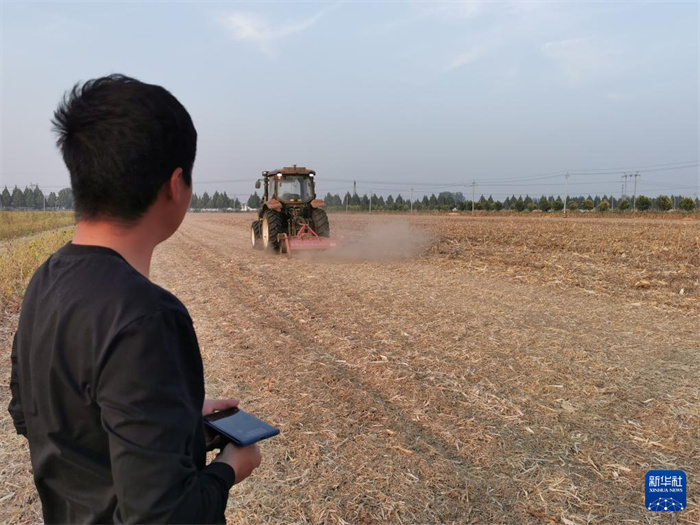 河南省安陽県瓦店郷広潤坡高基準(zhǔn)農(nóng)地モデルエリアの「無人農(nóng)場」で11日午後、「90後」（1990年代生まれ）の大規(guī)模な穀物生産者である張先智氏は攜帯電話を持ちながら畑の端に立ち、近くで四輪トラクターが莖をカットし農(nóng)地還元裝置を牽引しながら安定的に走行するのを見守っていた。撮影?馬意翀