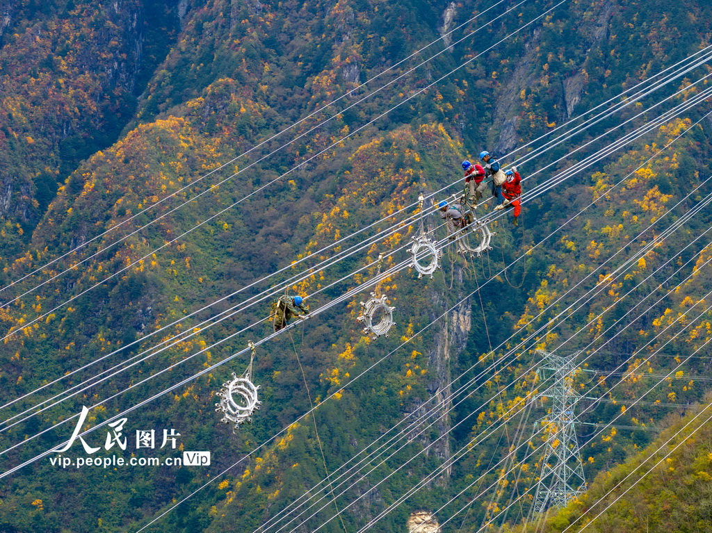 地上800メートルの高所で作業(yè)！四川-重慶超高圧送電線建設プロジェクト
