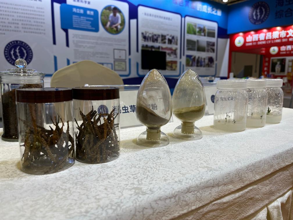 第2回海南國(guó)際熱帯食材サプライチェーン博覧會(huì)に出展された海蟲草製品。撮影?羅江