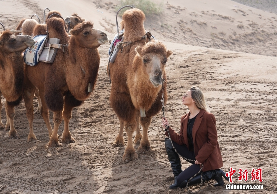 シルクロードミス?ツーリズム?ワールドの出場(chǎng)者、雪の張掖で美しさ競(jìng)う　甘粛省