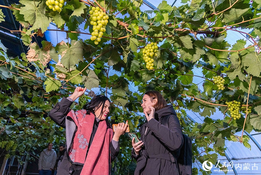 「一帯一路」青年友好交流イベントが呼和浩特で開催