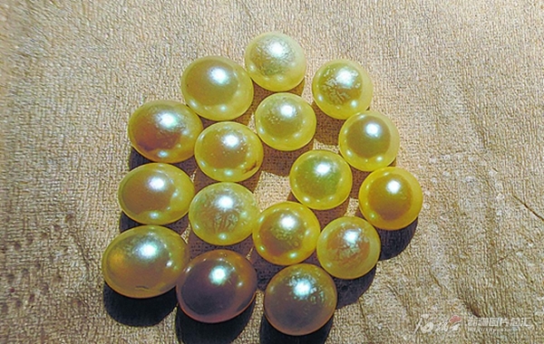 且末県時時鮮水産有限公司で養(yǎng)殖された真珠（撮影?龔永洪）。