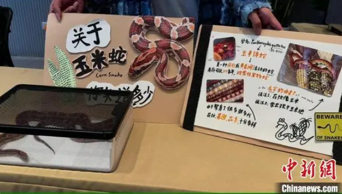 第3回上海ペットファッションウィークのマニアックなペット體験館の展示エリア（撮影?婁瀚錕）。