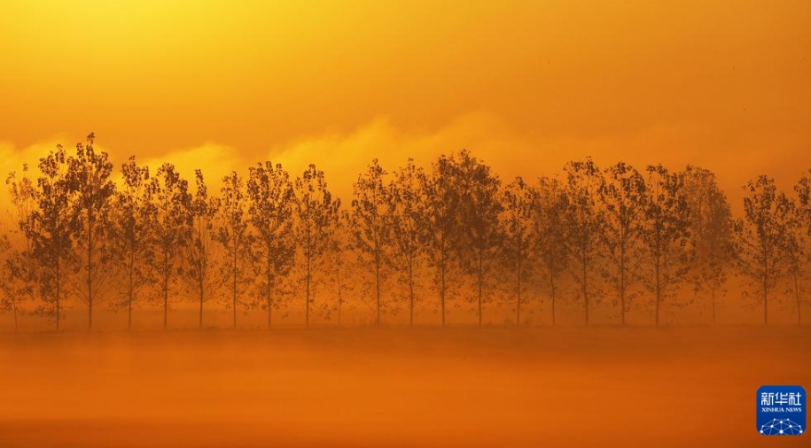中國各地で息を呑むような秋の絶景広がる