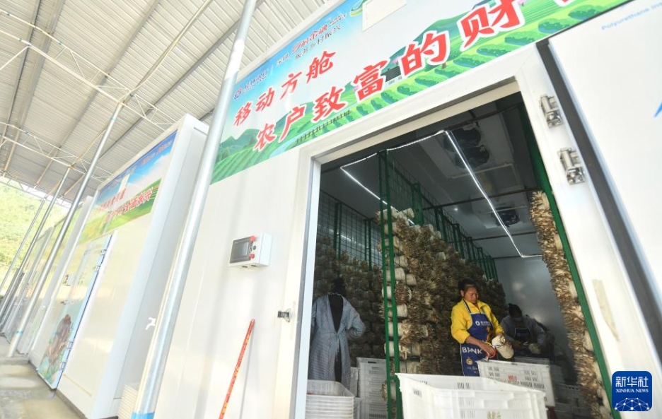 農(nóng)村の産業(yè)振興を後押しするスマート小型コンテナ　広西