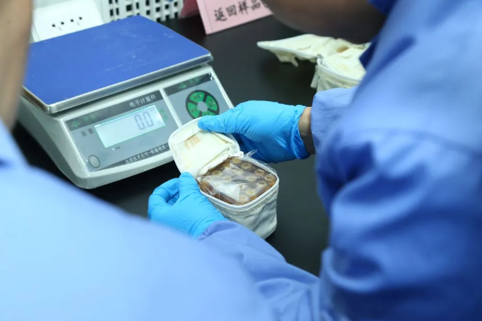 生命実験サンプルをチェックする科學(xué)研究者（畫像提供は中國科學(xué)院宇宙応用工學(xué)?技術(shù)センター）。