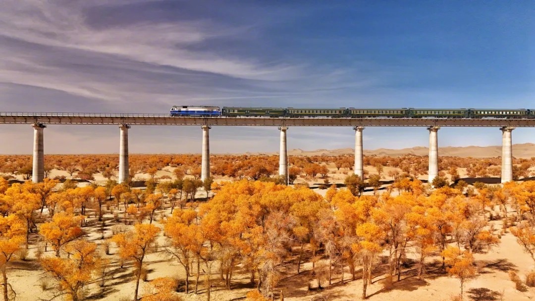 季節(jié)限定の「コトカケヤナギ観光列車」　新疆