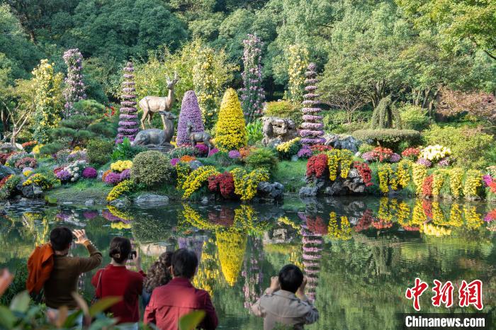 浙江省杭州市で菊の花展が開催中