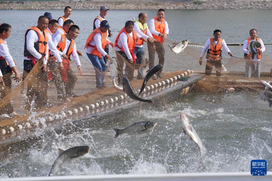 「捕って、食べる！」巨大鍋の魚スープに舌鼓！賑う豊漁イベント　江西省武寧