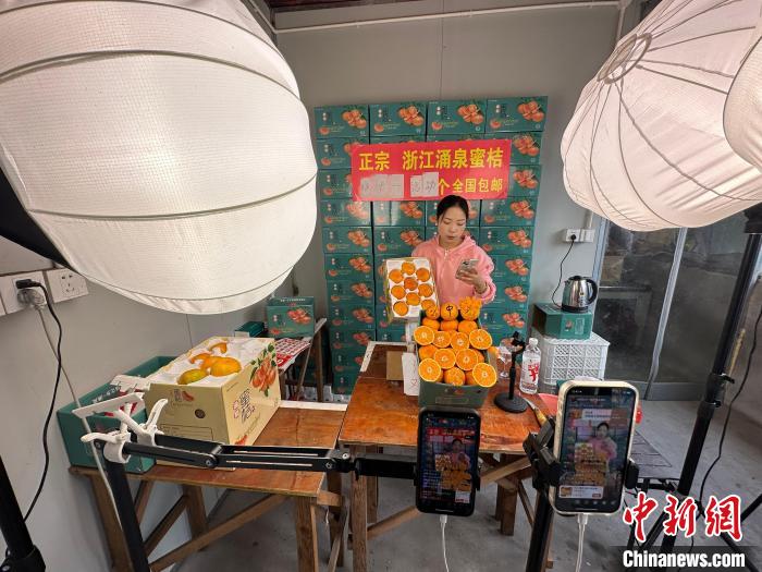 「中國(guó)種なしミカンの里」で収穫?販売ピーク　浙江省