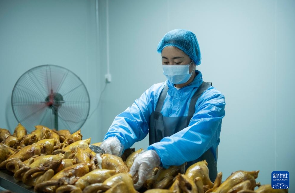 企業(yè)誘致と人材育成で雇用を促進(jìn)　安徽省宿州