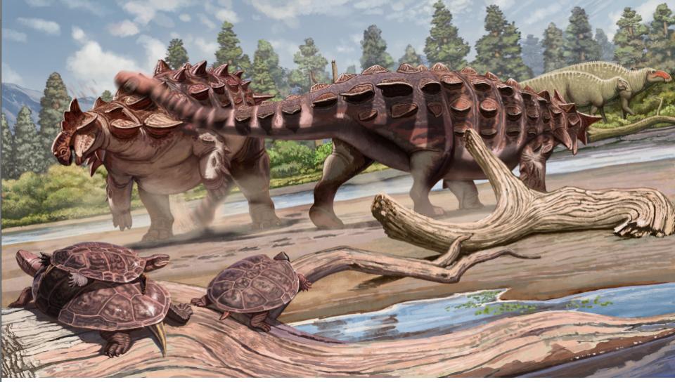 「獣紋華夏冑竜」の生息シーン再現(xiàn)図。（作成?葉健豪）