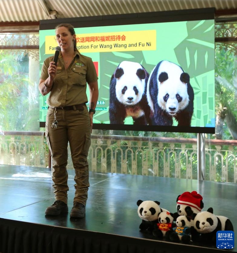 パンダ「網(wǎng)網(wǎng)」「福妮」の送別會(huì)が南オーストラリア州で開催