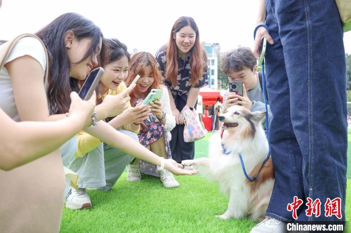 「かわいい！」とペットの寫真を撮る人々。（寫真提供は華南農(nóng)業(yè)大學）