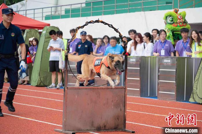 11月17日、第18回華南（広州）ペットカーニバルが華南農(nóng)業(yè)大學で行われた。（寫真提供は華南農(nóng)業(yè)大學）