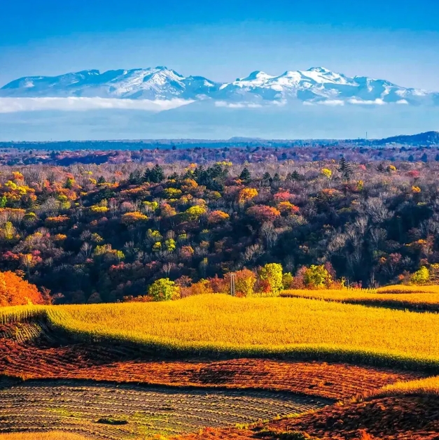 中國の東北地方で最も美しい高速鉄道で秋の旅に出よう！