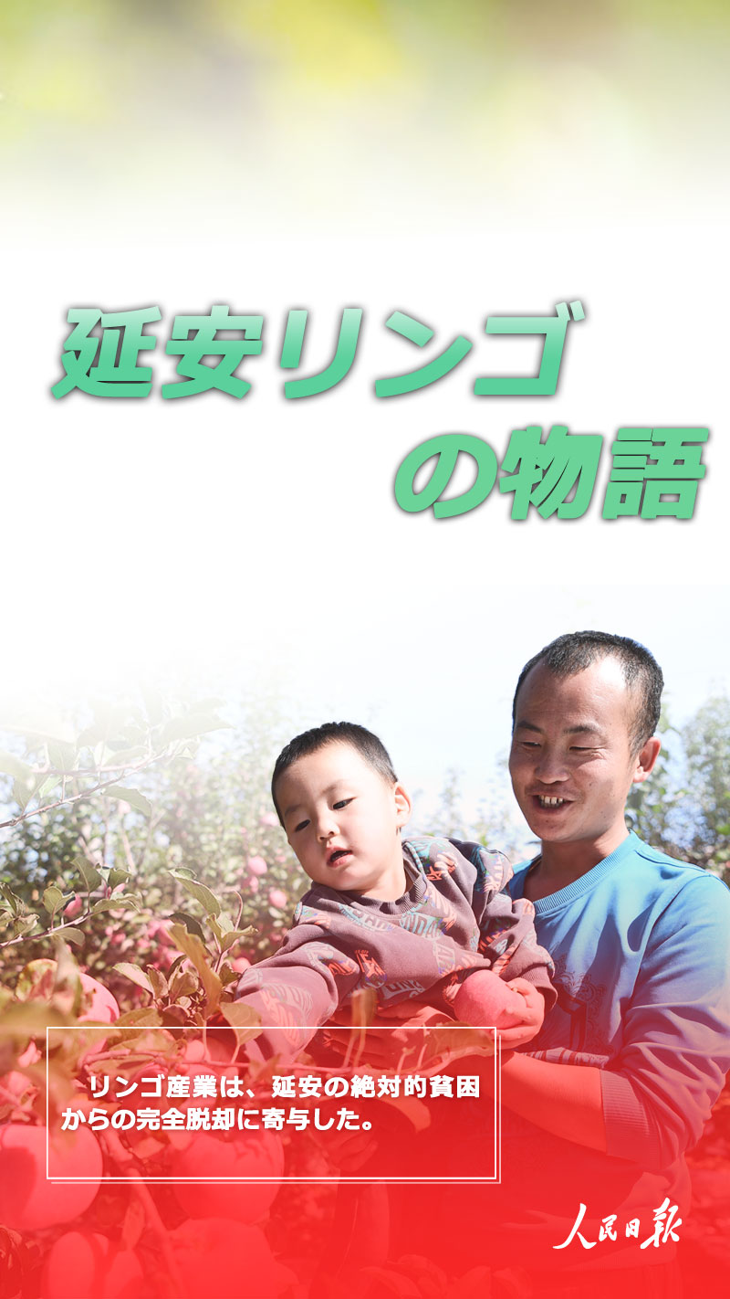 リンゴ産業(yè)は、延安の絶対的貧困からの完全脫卻に寄與した。