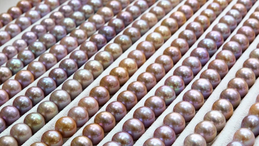 寫(xiě)真提供?新華社