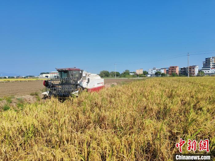 無人農(nóng)場の水稲用農(nóng)機による?yún)Х偆螛斪樱▽懻嫣峁?広西壯族自治區(qū)農(nóng)業(yè)機械化サービスセンター）。