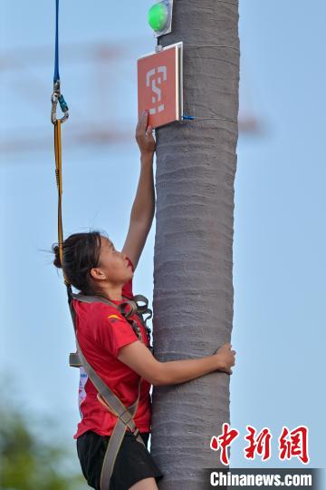全國少數(shù)民族運動會に「ヤシの木早登り」が登場　海南省