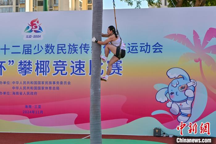 全國少數(shù)民族運(yùn)動(dòng)會(huì)に「ヤシの木早登り」が登場(chǎng)　海南省