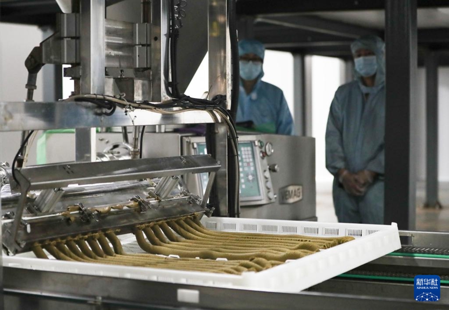 養(yǎng)蠶業(yè)のモデルチェンジとアップグレードをスマート化で推進(jìn)　湖南省瀏陽(yáng)