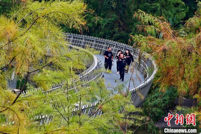 福建省福州市で、「福道」を散歩する市民（11月24日撮影?王東明）。