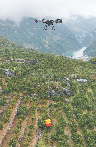 湖北省宜昌市秭帰県で、ネーブルオレンジを運搬中のドローン。