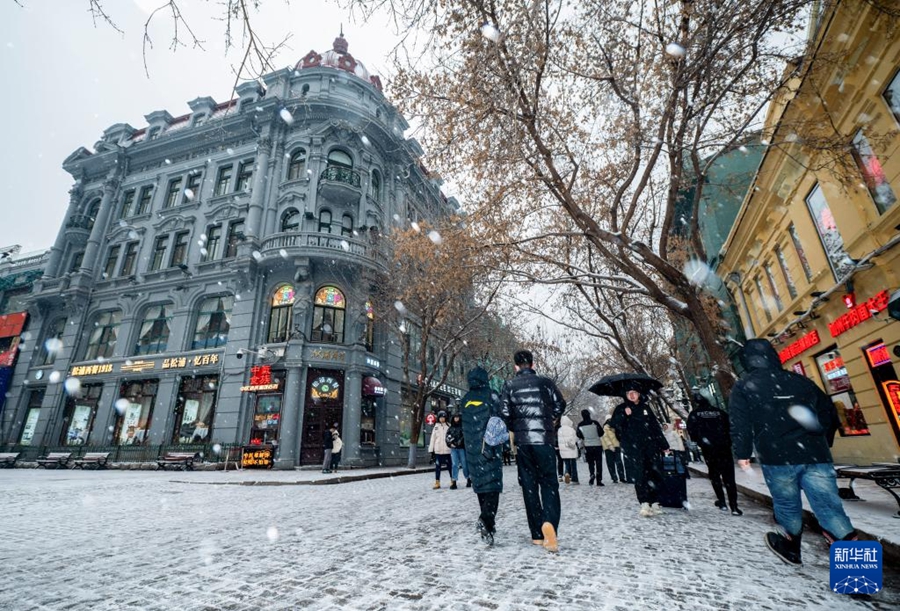 雪が舞う哈爾浜(ハルビン)の中央大街を歩く人々（11月26日撮影?張春雷）。