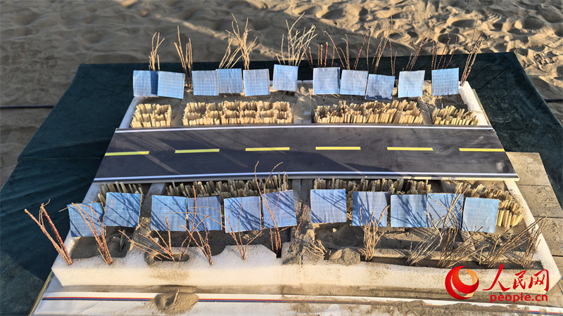 砂を固定する方法を再現(xiàn)したミニ模型（撮影?陳新輝）。