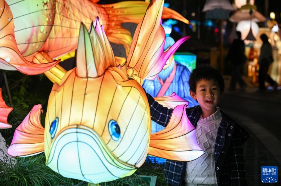 「上元燈彩図」無形文化遺産蕓術(shù)展がライトアップ　江蘇省南京