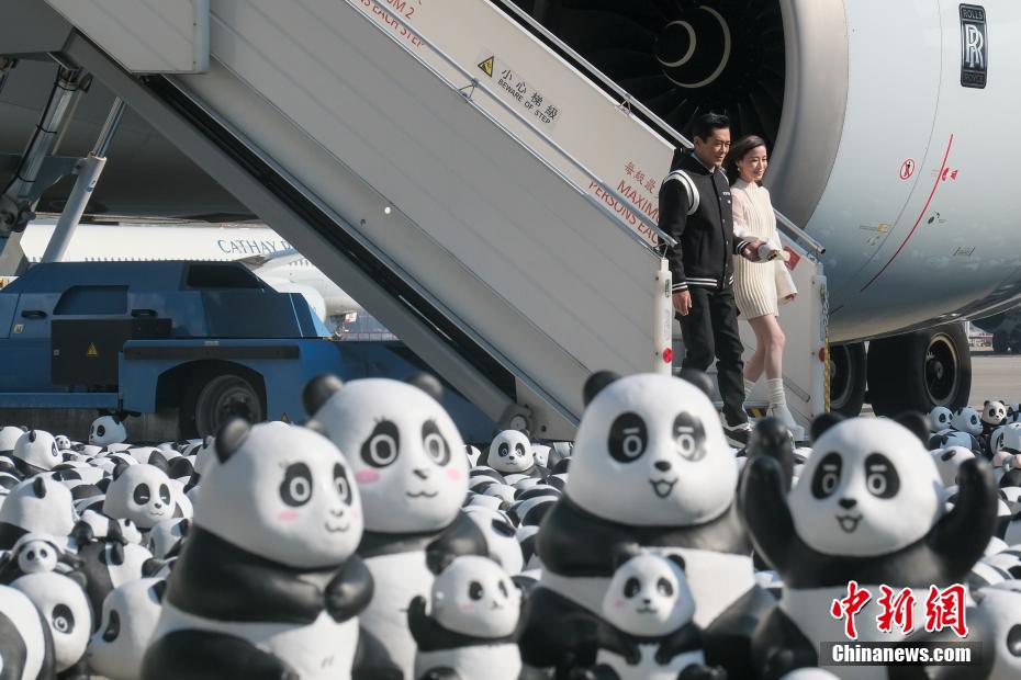 開催迫る「PANDA GO！香港遊」展　張り子のパンダ2500體が香港空港に到著
